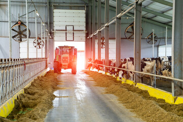 Farming machinery in hangar. Agriculture tractor in a milk farm. - obrazy, fototapety, plakaty