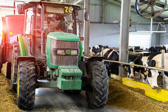 Agriculture tractor in a milk farm. Farming machinery in hangar.