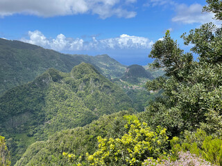 View of the mountains and forests from the Balcoes levada viewpoint balcony. Madeira Island, Portugal
