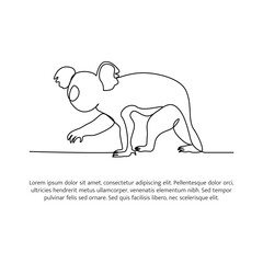Koala line design. Wildlife decorative elements drawn with one continuous line. Vector illustration of minimalist style on white background.