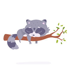 Cute raccoon sleeping on tree branch with leaf, furry baby racoon with tail lying