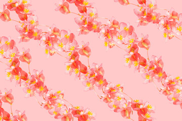 Floral frame with pink flowers and white background