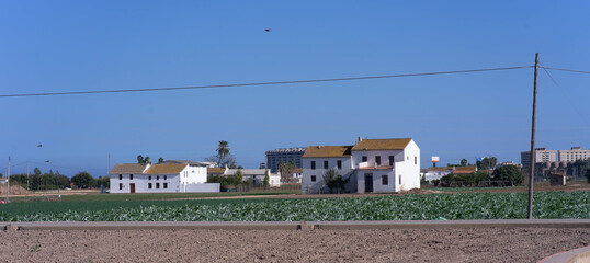 Fototapeta premium Huerta Valenciana en Alboraya