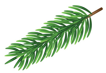 Green fir branches, decoration for Christmas and New Year on a transparent and white background. Universal template for flyers, postcards, price tags, invitations, Christmas tree vector no raster