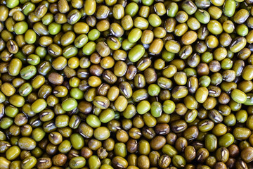 Abstract close-up green beans background