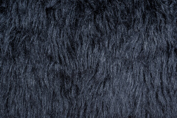 Black Wool Texture Abstract Fur Background