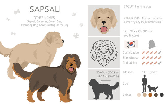 Sapsali sales