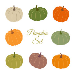 Set of colorful pumpkins. Vector illustration of seasonal autumn vegetable. Different pumpkins for Thanksgiving or Halloween design.