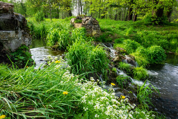 Park w Świerklańcu   Górny Śląsk, Polska © K. Skubala