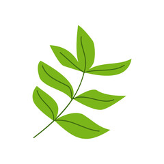 Simple leaf illustration for nature design element