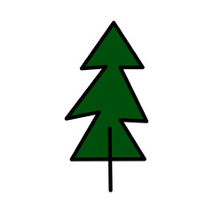 Simple spruce illustration for nature design element