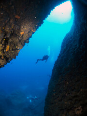 Scuba Diving and Underwater Photography Malta Gozo Comino - Wrecks Reefs Marine Life Caverns Caves History
