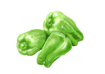 水彩のピーマン01_1