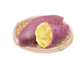 水彩のさつまいも01_2