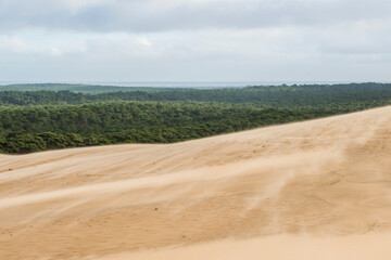 Fototapeta na wymiar Dune du Pilat pendant la tempête