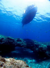 Scuba Diving and Underwater Photography Malta Gozo Comino - Wrecks Reefs Marine Life Caverns Caves History