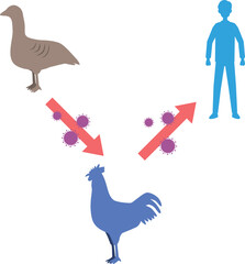 鳥インフルエンザのイメージイラスト