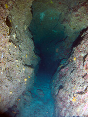 Obraz na płótnie Canvas Scuba Diving and Underwater Photography Malta Gozo Comino - Wrecks Reefs Marine Life Caverns Caves History