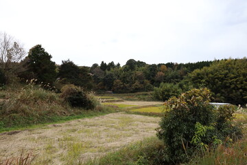 日本の田舎