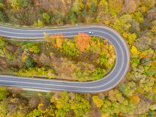 Single car on curvy road in Wujskie, Poland winding though autumn forest, aerial top down
