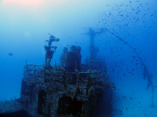 Scuba Diving and Underwater Photography Malta Gozo Comino - Wrecks Reefs Marine Life Caverns Caves History