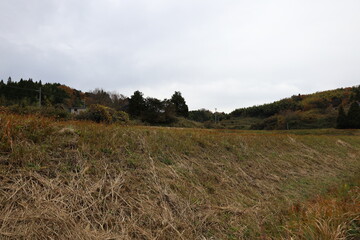 Fototapeta premium 日本の田舎