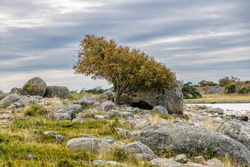 Schweden von seiner schönsten Seite