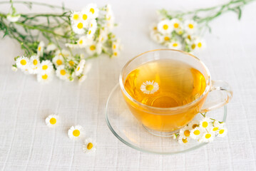 cup of herbal tea with chamomile flowers	

