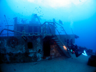 Scuba Diving and Underwater Photography Malta Gozo Comino - Wrecks Reefs Marine Life Caverns Caves...