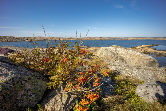 Trosa Bilder – Durchsuchen 428 Archivfotos, Vektorgrafiken und Videos ...