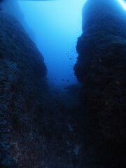 Scuba Diving and Underwater Photography Malta Gozo Comino - Wrecks Reefs Marine Life Caverns Caves History

