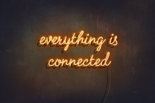 everything is connected