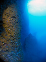 Scuba Diving and Underwater Photography Malta Gozo Comino - Wrecks Reefs Marine Life Caverns Caves History
