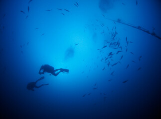 Naklejka premium Scuba Diving and Underwater Photography Malta Gozo Comino - Wrecks Reefs Marine Life Caverns Caves History 