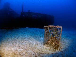Scuba Diving and Underwater Photography Malta Gozo Comino - Wrecks Reefs Marine Life Caverns Caves...