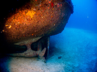 Scuba Diving and Underwater Photography Malta - Wrecks Reefs Marine Life Caverns Caves History