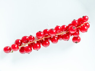 A bunch of red currants on a white background