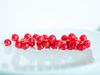 A bunch of red currants on a white background