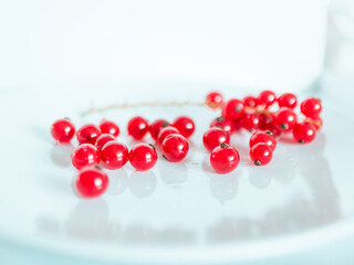 A bunch of red currants on a white background