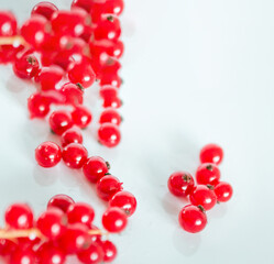 A bunch of red currants on a white background