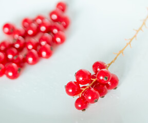 A bunch of red currants on a white background