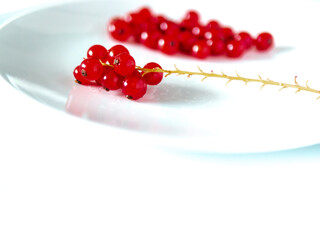 A bunch of red currants on a white background