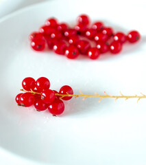 A bunch of red currants on a white background