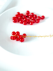 A bunch of red currants on a white background