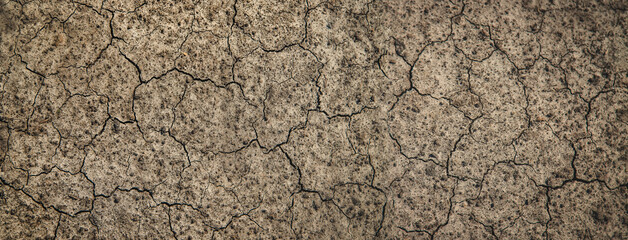 Dry cracked ground background texture Selective focus.