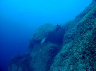 Scuba Diving and Underwater Photography Malta - Wrecks Reefs Marine Life Caverns Caves History