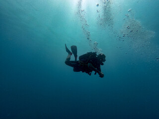 Scuba diver descending in semi-dark waters.