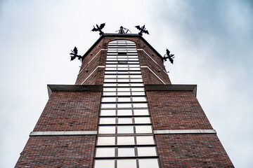 wieża ratusza w Nysie (Polska) z nietoperzami © Henryk Niestrój
