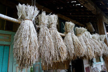 Dried rice and corn are hung for seed stock 