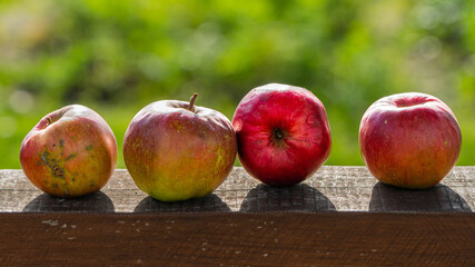 Ekologiczne Cztery Jabłka